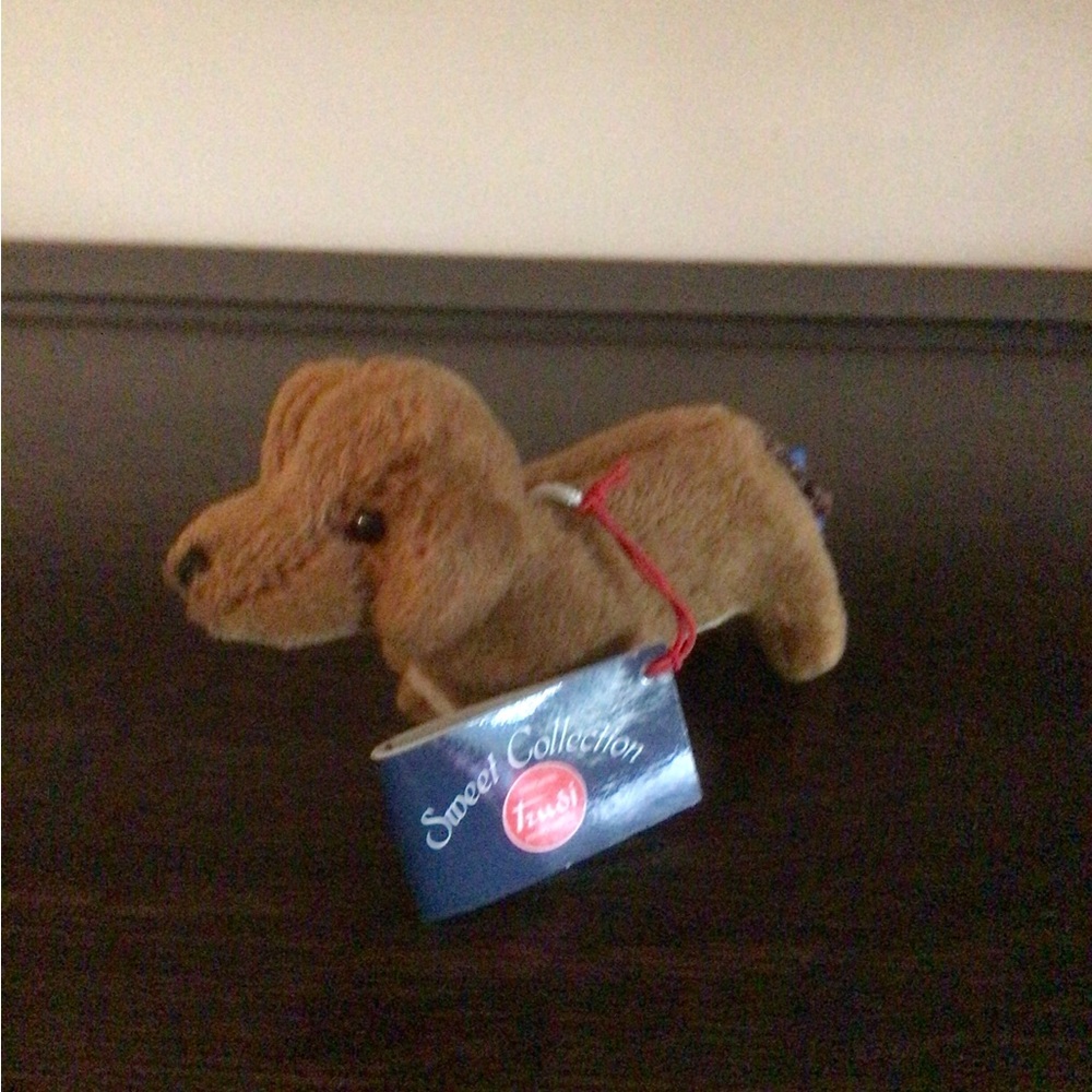 Trudi Dachshund Dog